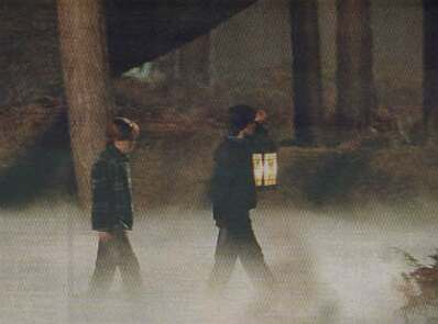 Harry & Ron in the Forgotten Forest - most probably just before they meet Aragog, the giant spider